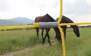ACCESS CONTROL - POLY ROPE FENCING