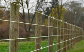 ACCESS CONTROL - POLY WIRE FENCING